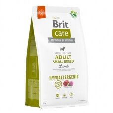 Brit Care Hypoallergenic Adult Small Breed Lamb&Rice sausas maistas
