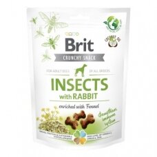 Brit Care Crunchy Cracker Insects with Rabbit skanėstai šunims