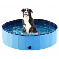 Dog Pool baseinas šunims mėlynas