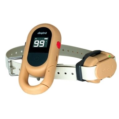 Dogtra IQ Flex elektrinis antkaklis dresūrai