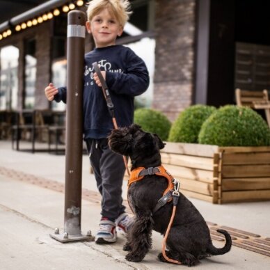 DOG Copenhagen šuns petnešos Comfort Walk Pro oranžinės 4