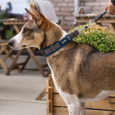 DOG Copenhagen Urban Explorer minkštas antkaklis šunims mėlynas 3