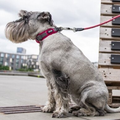 DOG Copenhagen Urban Explorer minkštas antkaklis šunims rožinis 3