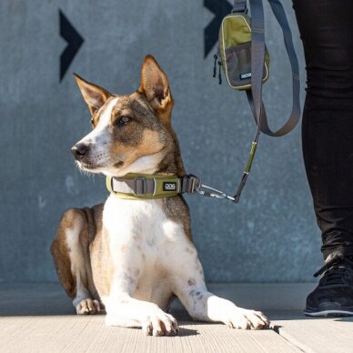 DOG Copenhagen Urban Explorer minkštas antkaklis šunims žalias 3