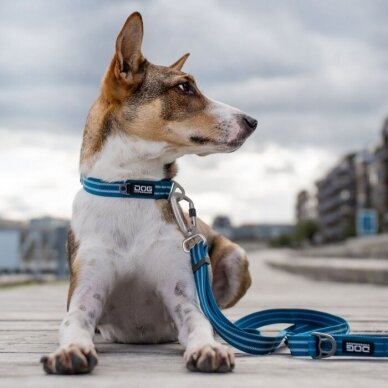 DOG Copenhagen Urban Style šunų antkaklis mėlynas 3