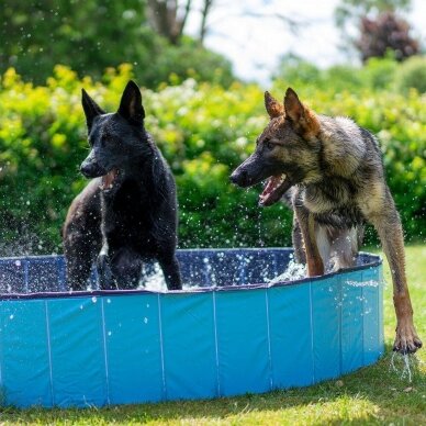 Dog Pool baseinas šunims mėlynas 1