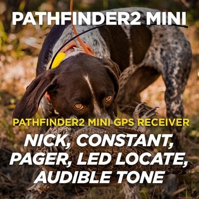 Dogtra Pathfinder 2 Mini elektrinis GPS antkaklis dresūrai 2