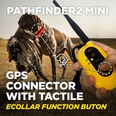 Dogtra Pathfinder 2 Mini elektrinis GPS antkaklis dresūrai 4