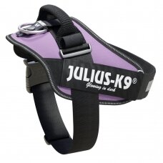 Julius-K9 IDC petnešos šunims purpurinės