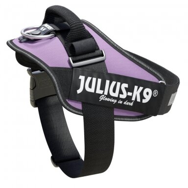 Julius-K9 IDC petnešos šunims purpurinės