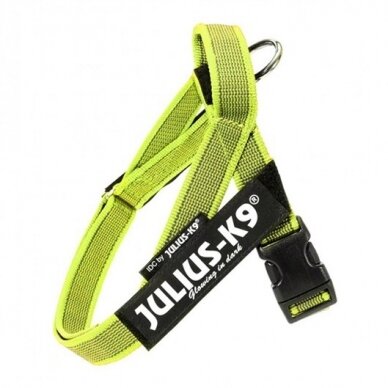 Julius-K9 IDC Color & Gray petnešos šunims neon žalios