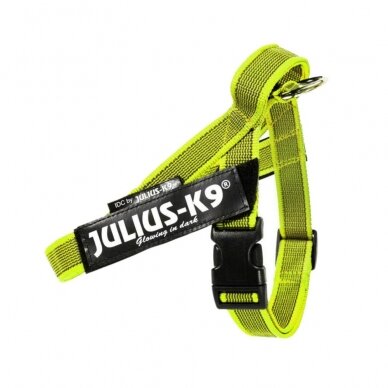 Julius-K9 IDC Color & Gray petnešos šunims neon žalios 1