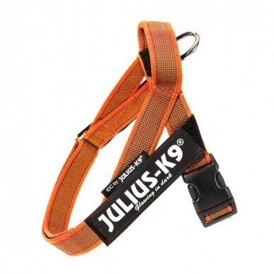Julius-K9 IDC Color & Gray petnešos šunims oranžinės