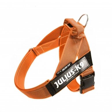 Julius-K9 IDC Color & Gray petnešos šunims oranžinės 2