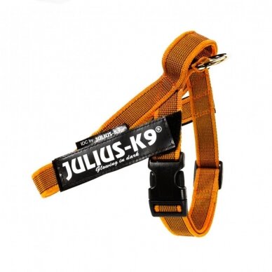 Julius-K9 IDC Color & Gray petnešos šunims oranžinės 1