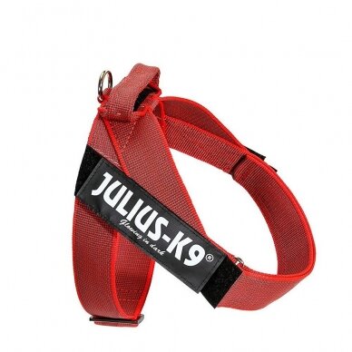 Julius-K9 IDC Color & Gray petnešos šunims raudonos 2