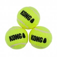 KONG AirDog Squeakair 3 teniso kamuoliukai