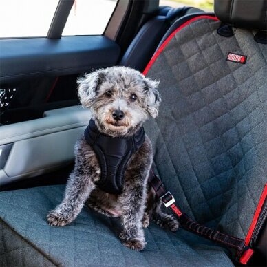 KONG Single Seat Cover automobilio sėdynės užtiesalas 3