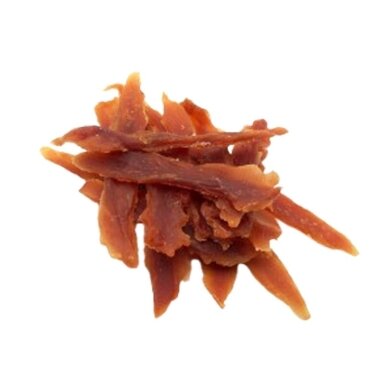 Real Dog Snacks minkštos antienos file juostelės 500g