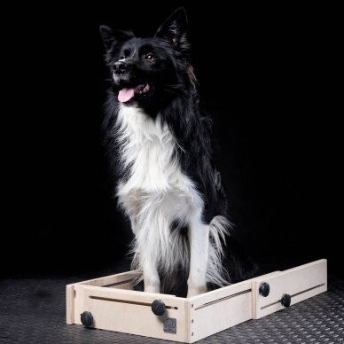 Wooddog dėžė pozicijos keitimui fiksuotas priekis 1
