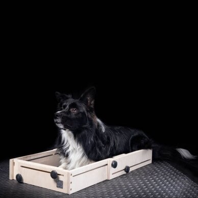 Wooddog dėžė pozicijos keitimui fiksuotas priekis 3